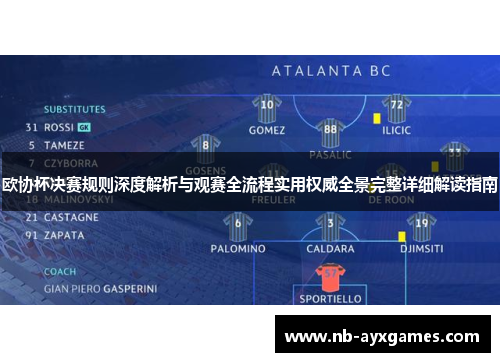 欧协杯决赛规则深度解析与观赛全流程实用权威全景完整详细解读指南