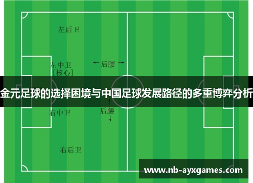 金元足球的选择困境与中国足球发展路径的多重博弈分析
