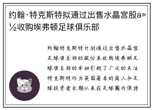 约翰·特克斯特拟通过出售水晶宫股份收购埃弗顿足球俱乐部 约翰·特克斯特拟通过出售水晶宫股份收购埃弗顿足球俱乐部
